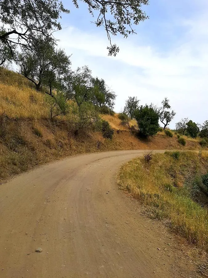 Attico Los Montes With Private Pool Viñuela