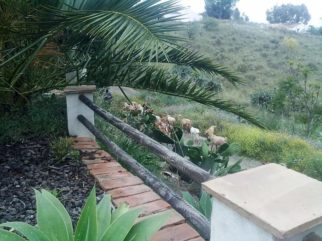 Attico Los Montes With Private Pool Viñuela Spanien